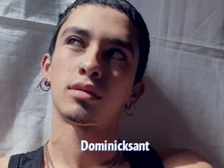 Dominicksant