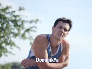 DominikYa