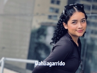 Dahliagarrido