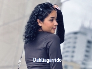 Dahliagarrido