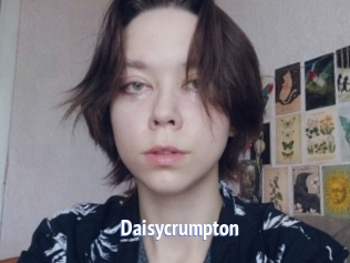 Daisycrumpton