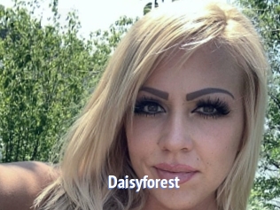 Daisyforest