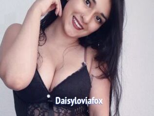 Daisyloviafox
