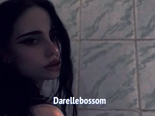Darellebossom