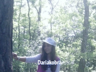 Dariakobra