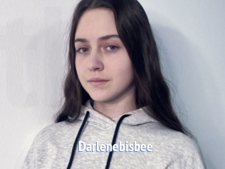 Darlenebisbee