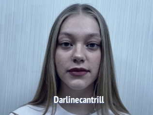 Darlinecantrill