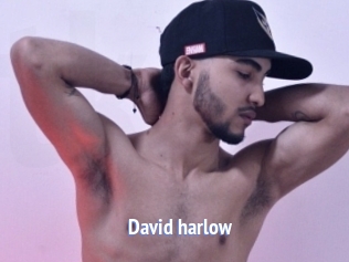 david_harlow Telefon Kontakte
