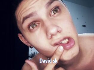 David_sk