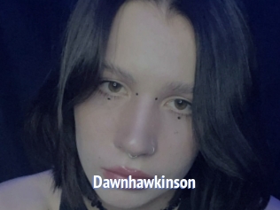 Dawnhawkinson