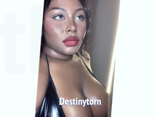 destinytorn Telefon Kontakte