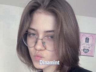 Dinamint