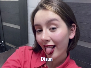 disun Telefon Kontakte