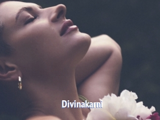 Divinakarni
