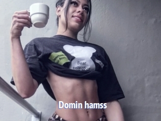 Domin_hamss