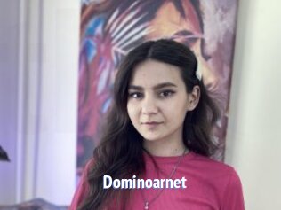 Dominoarnet