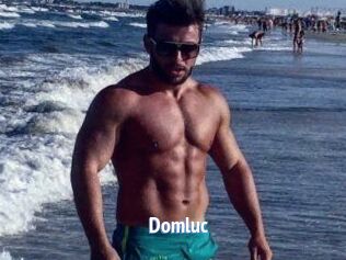 Domluc