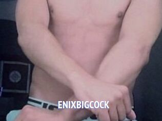 ENIXBIGCOCK