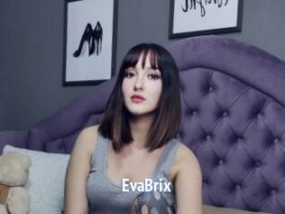 EvaBrix