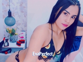 EvaPerfect Telefon Kontakte