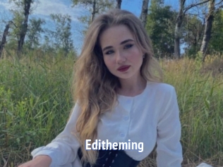Editheming