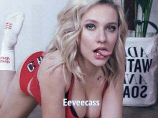 Eeveecass