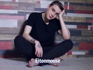 Eitonmouse