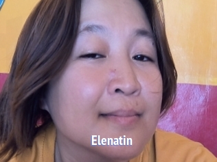 Elenatin