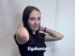 Elgafountain
