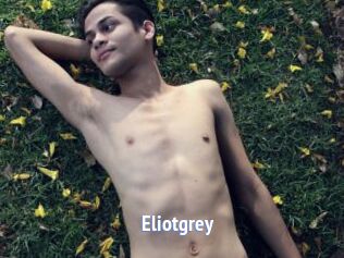 Eliotgrey
