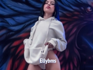 Ellybms