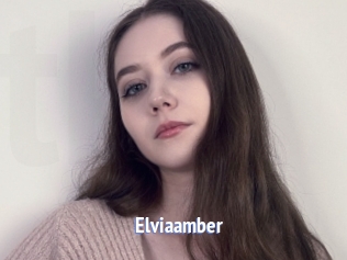 Elviaamber