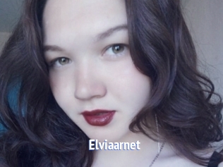Elviaarnet