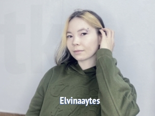 Elvinaaytes