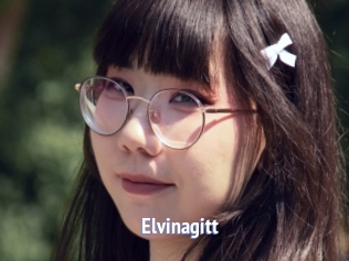 Elvinagitt