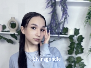 Elvinagrindle