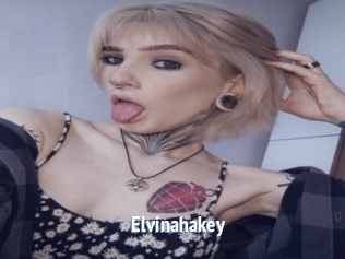 elvinahakey Telefon Kontakte