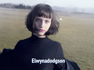 Elwynadodgson
