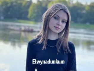 Elwynadunkum