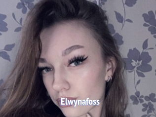 Elwynafoss
