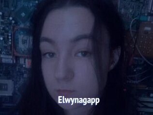 Elwynagapp