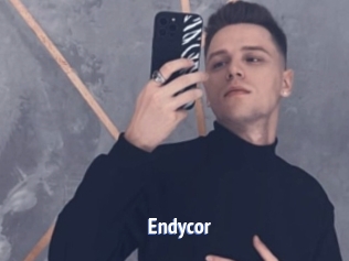 Endycor