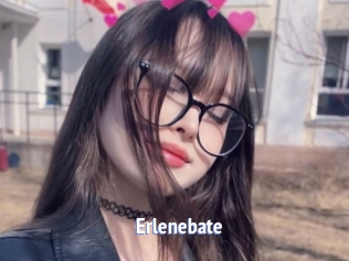 Erlenebate
