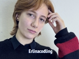 Erlinacodling