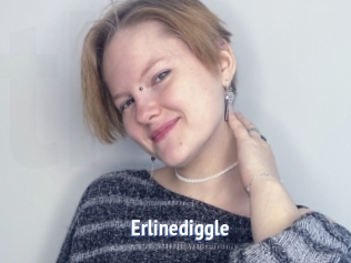 Erlinediggle
