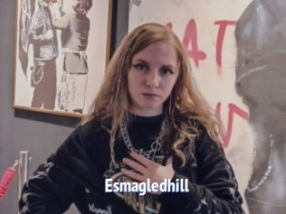 Esmagledhill