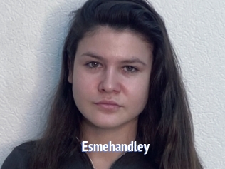 Esmehandley