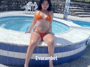 Evacambel