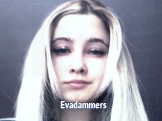 Evadammers
