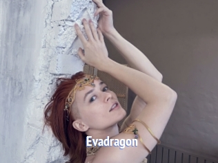 Evadragon